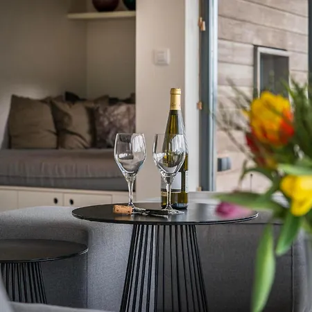 Seaside Family 6p - Direct Bij Het - 24 Willa Ouddorp