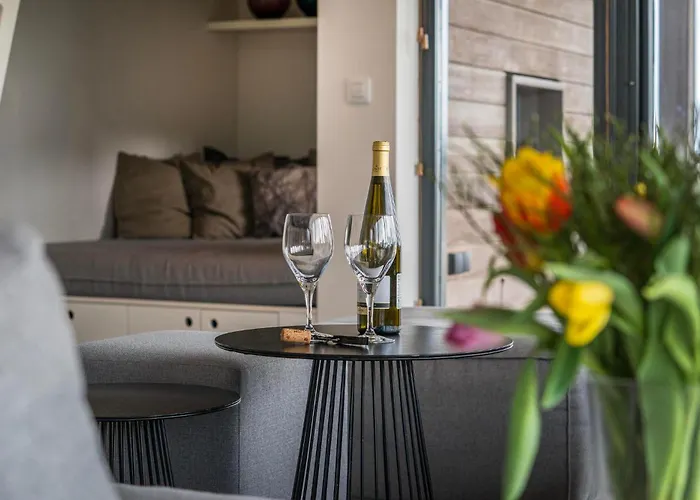 Seaside Family 6p - Direct Bij Het - 24 Willa Ouddorp